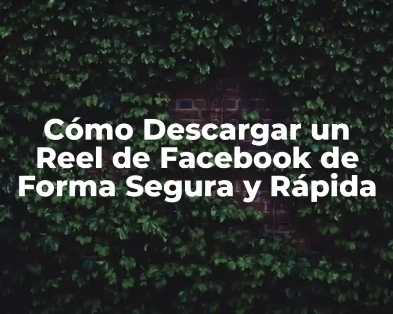 Cómo Descargar un Reel de Facebook de Forma Segura y Rápida