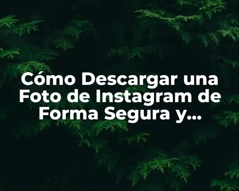 Cómo Descargar una Foto de Instagram de Forma Segura y Gratuita