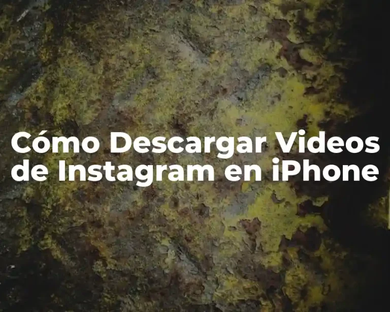 Cómo Descargar Videos de Instagram en iPhone
