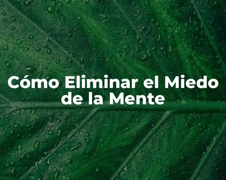 Cómo Eliminar el Miedo de la Mente
