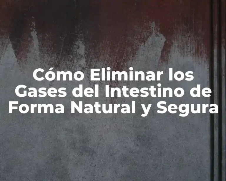 Cómo Eliminar los Gases del Intestino de Forma Natural y Segura