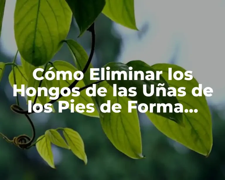 Cómo Eliminar los Hongos de las Uñas de los Pies de Forma Segura y Efectiva