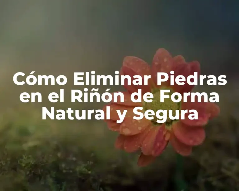 Cómo Eliminar Piedras en el Riñón de Forma Natural y Segura