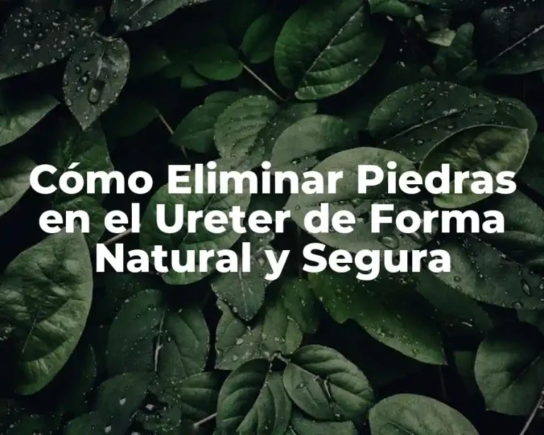 Cómo Eliminar Piedras en el Ureter de Forma Natural y Segura