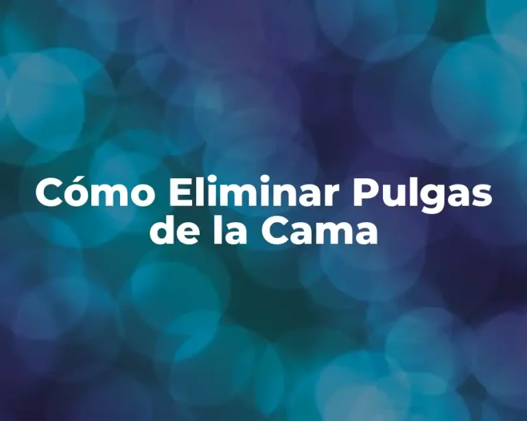 Cómo Eliminar Pulgas de la Cama