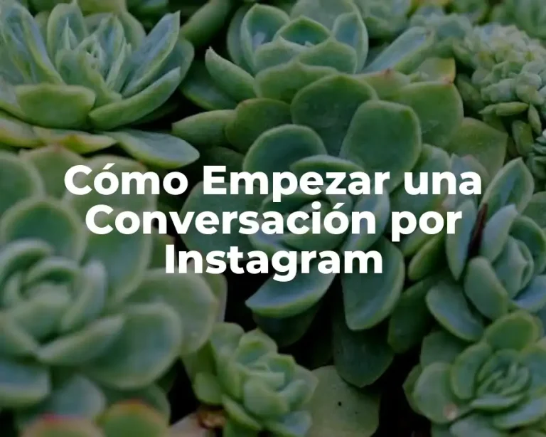 Cómo Empezar una Conversación por Instagram
