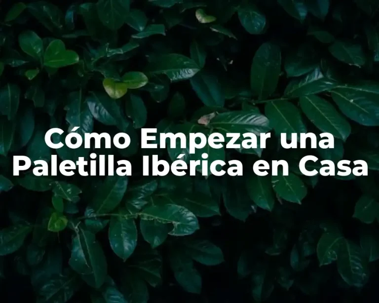 Cómo Empezar una Paletilla Ibérica en Casa
