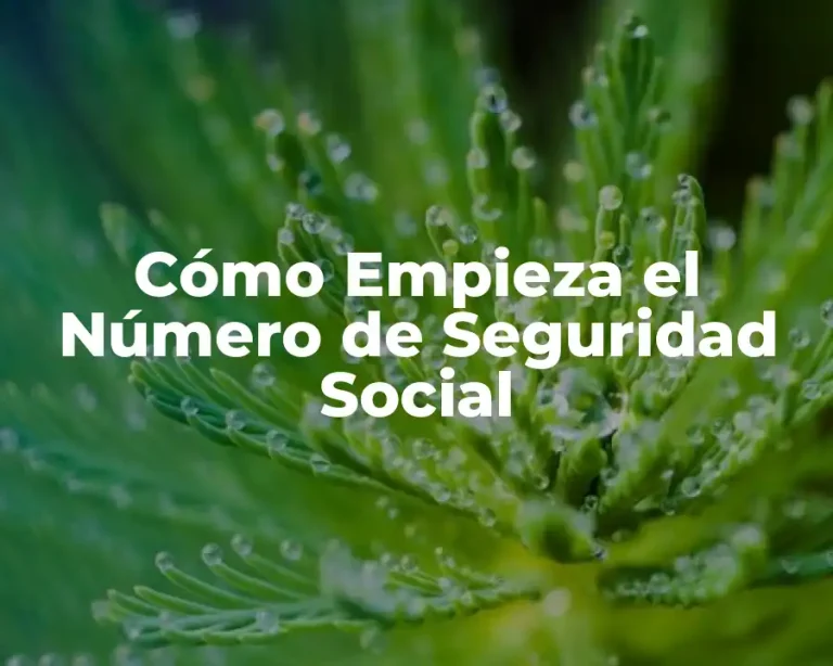 Cómo Empieza el Número de Seguridad Social