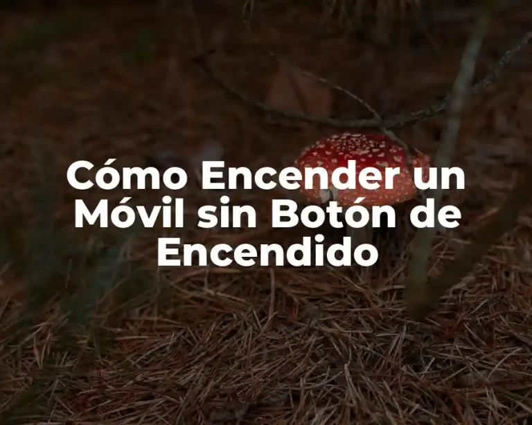 Cómo Encender un Móvil sin Botón de Encendido