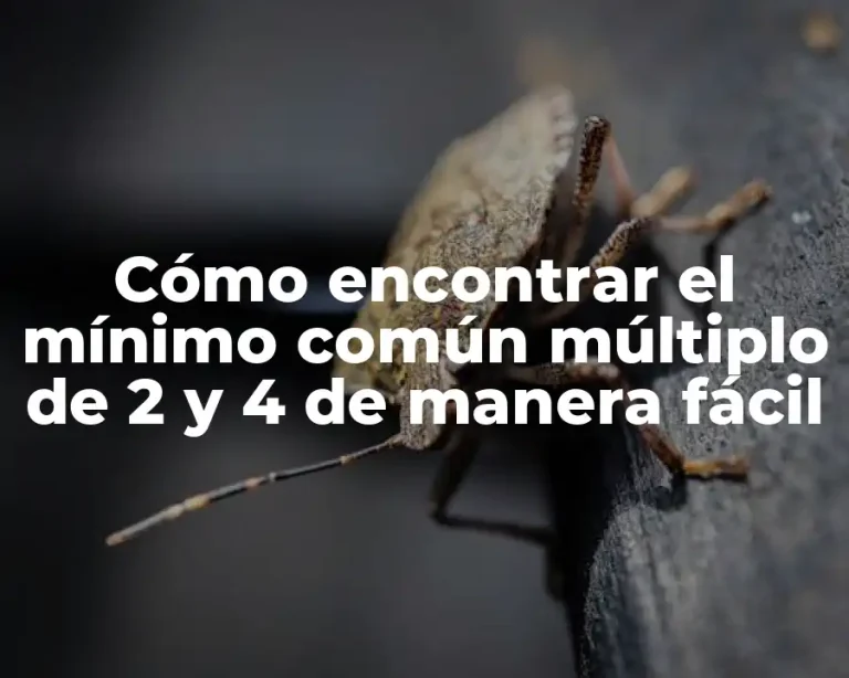 Cómo encontrar el mínimo común múltiplo de 2 y 4 de manera fácil