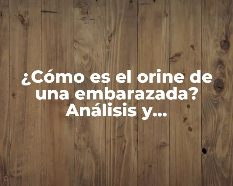 ¿Cómo es el orine de una embarazada? Análisis y características