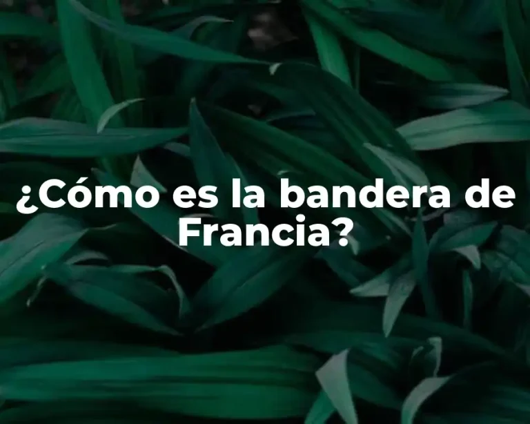 ¿Cómo es la bandera de Francia?