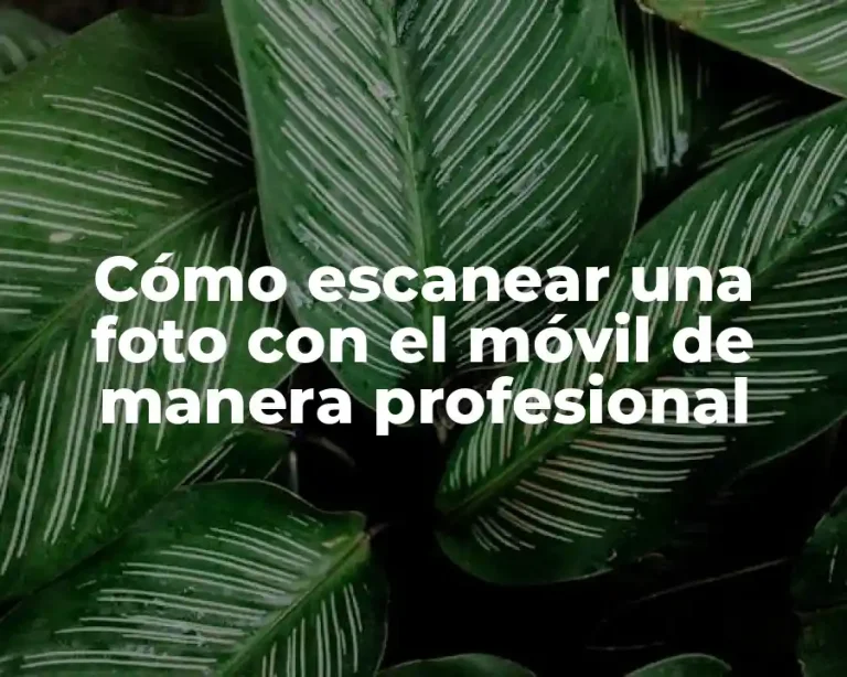 Cómo escanear una foto con el móvil de manera profesional