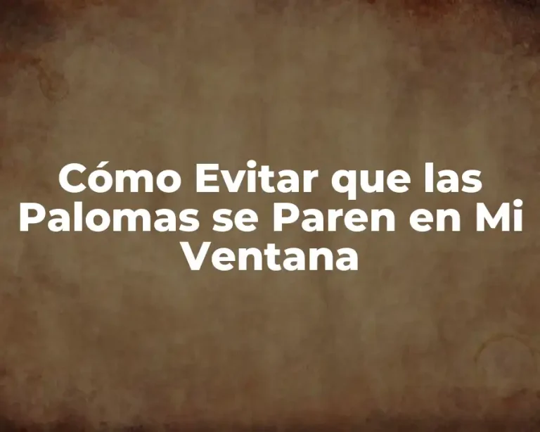 Cómo Evitar que las Palomas se Paren en Mi Ventana