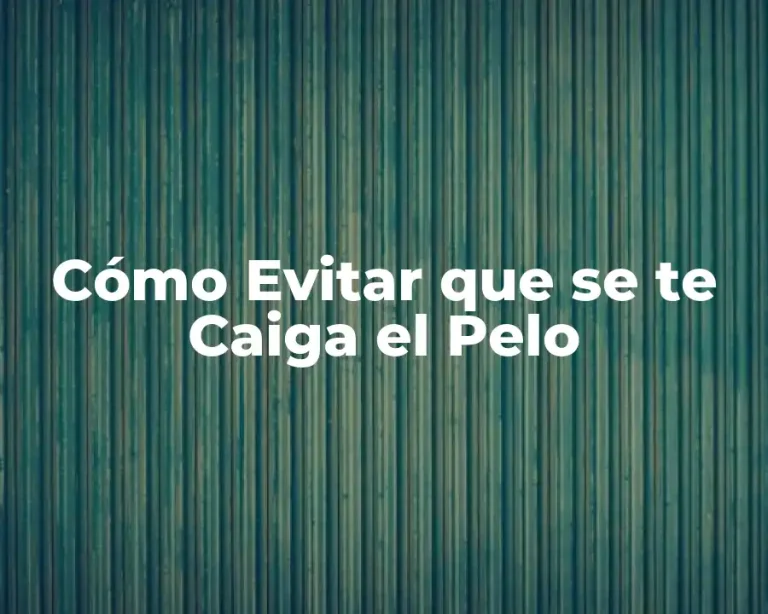 Cómo Evitar que se te Caiga el Pelo