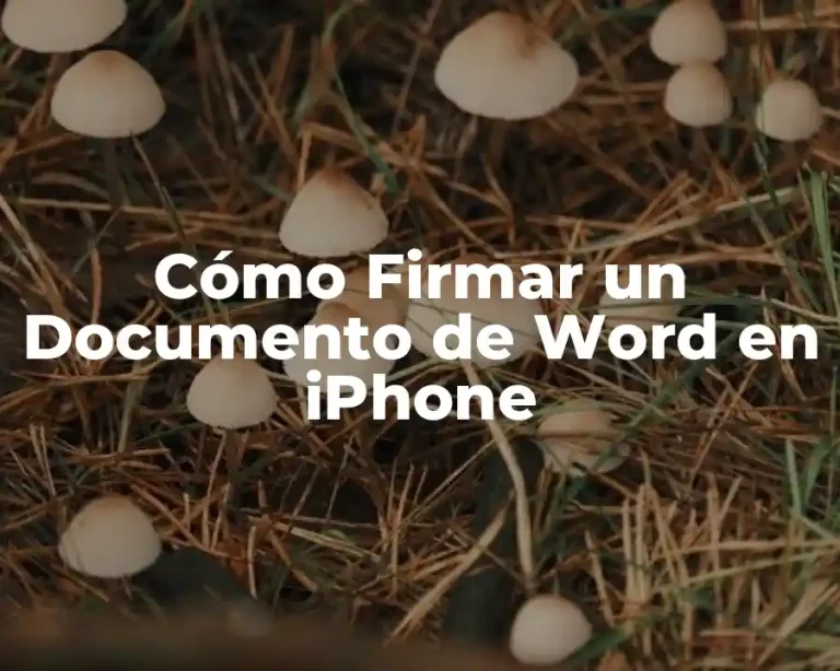 Cómo Firmar un Documento de Word en iPhone
