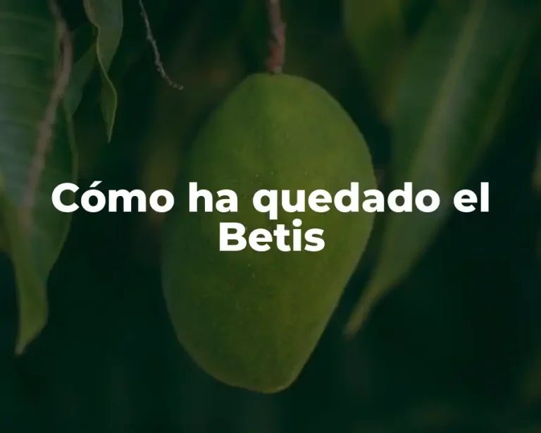 Cómo ha quedado el Betis