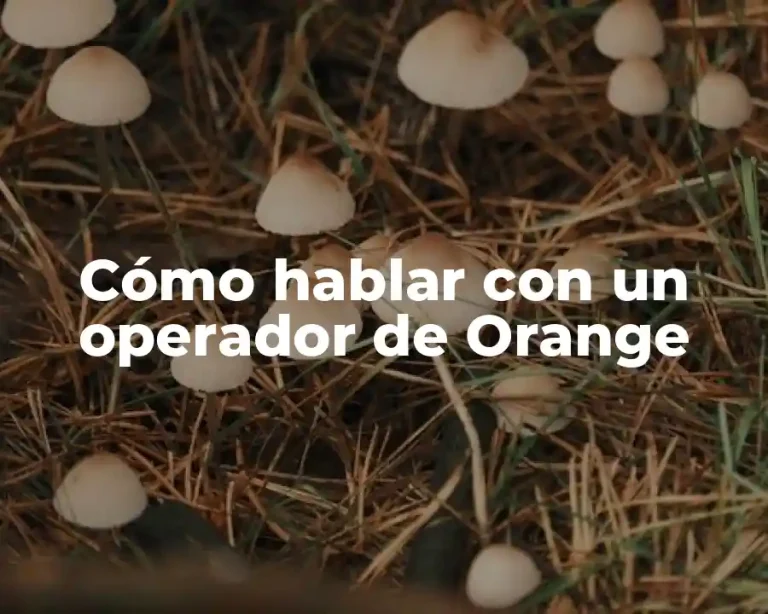 Cómo hablar con un operador de Orange