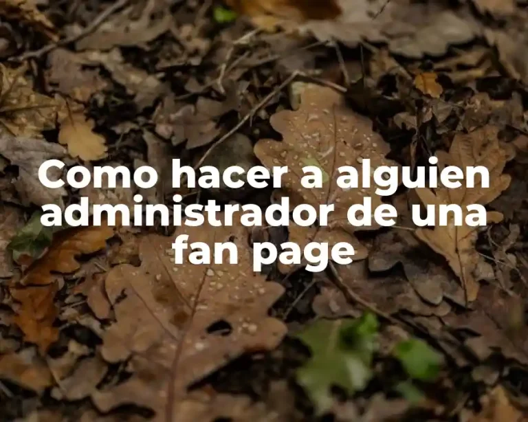 Como hacer a alguien administrador de una fan page