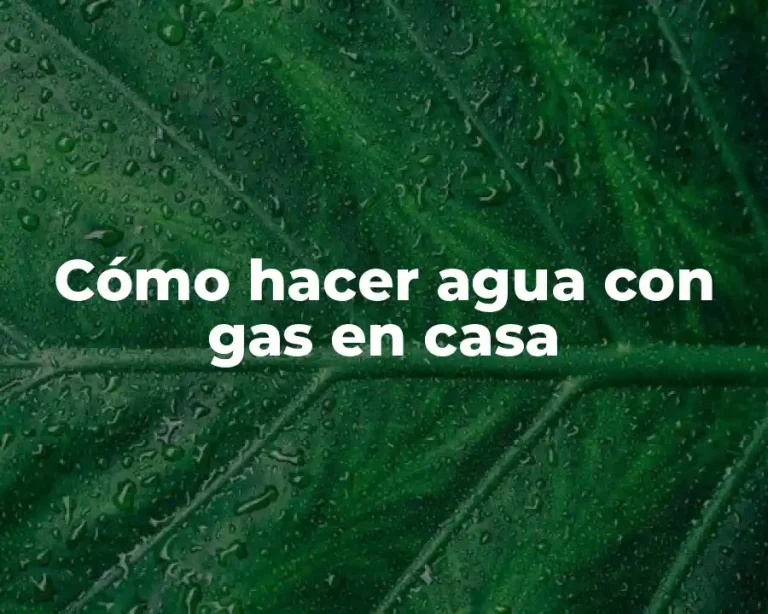 Cómo hacer agua con gas en casa