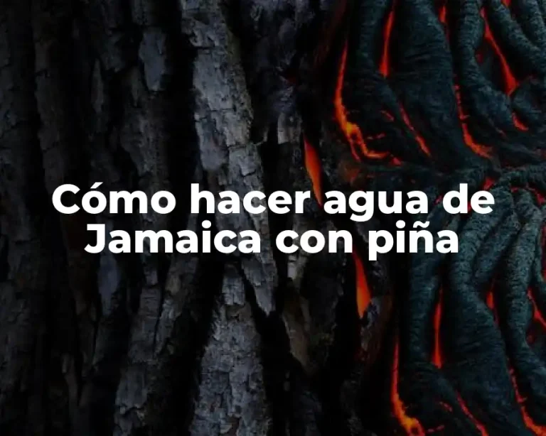 Cómo hacer agua de Jamaica con piña