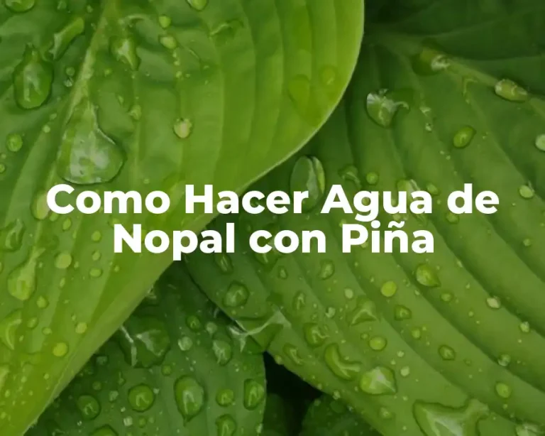 Como Hacer Agua de Nopal con Piña