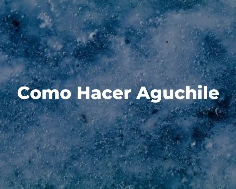 Como Hacer Aguchile