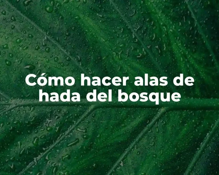 Cómo hacer alas de hada del bosque