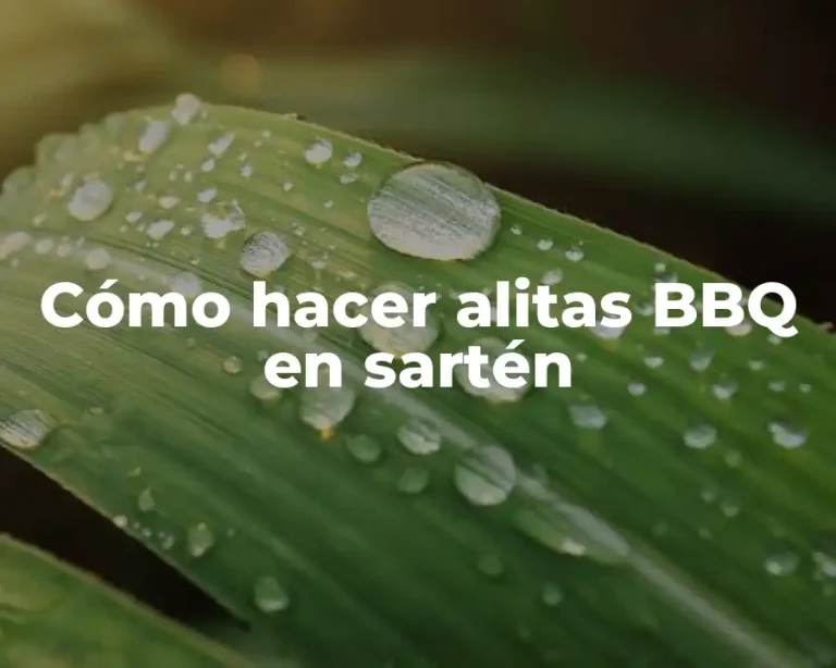 Cómo hacer alitas BBQ en sartén