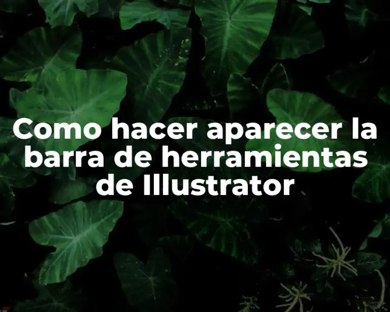 Como hacer aparecer la barra de herramientas de Illustrator
