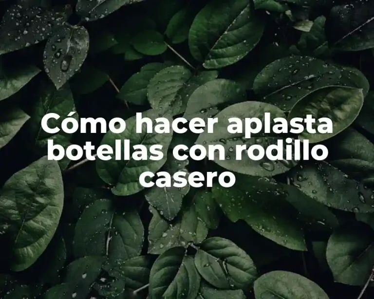 Cómo hacer aplasta botellas con rodillo casero