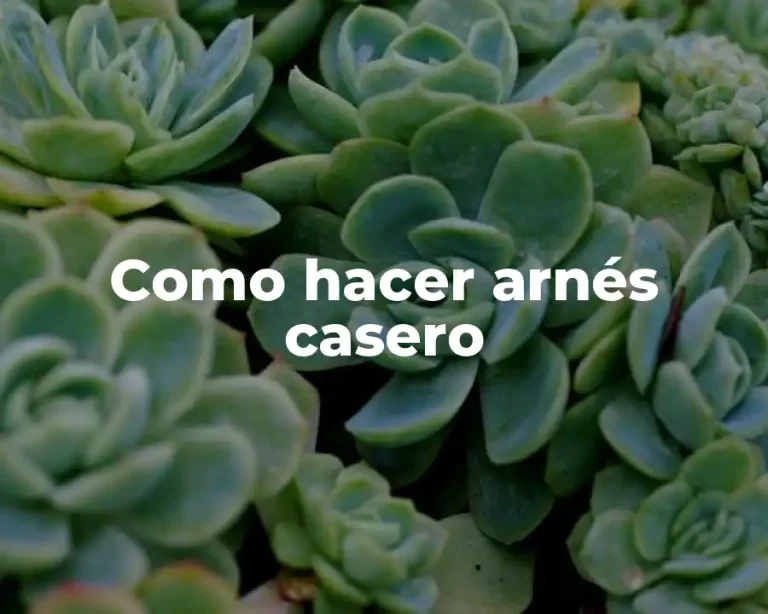 Como hacer arnés casero