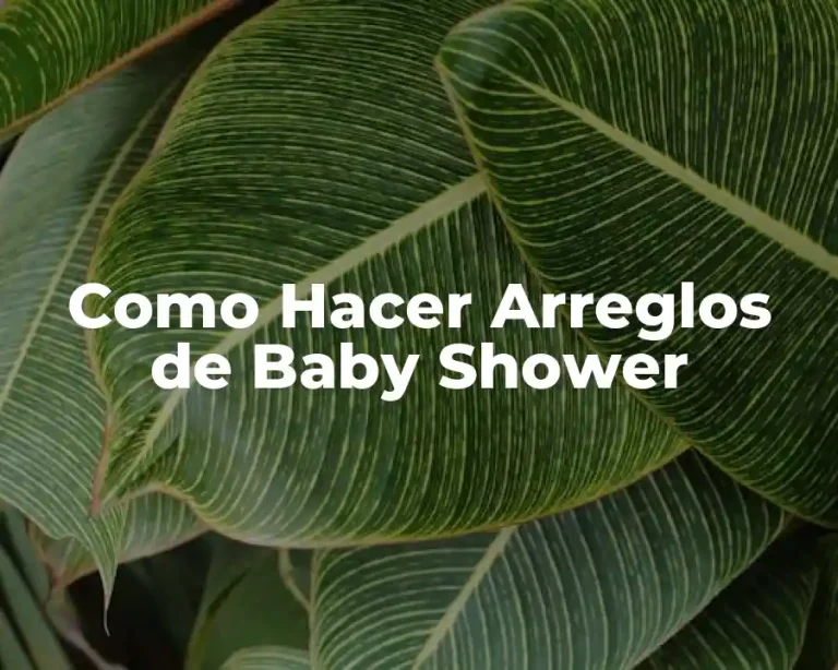 Como Hacer Arreglos de Baby Shower