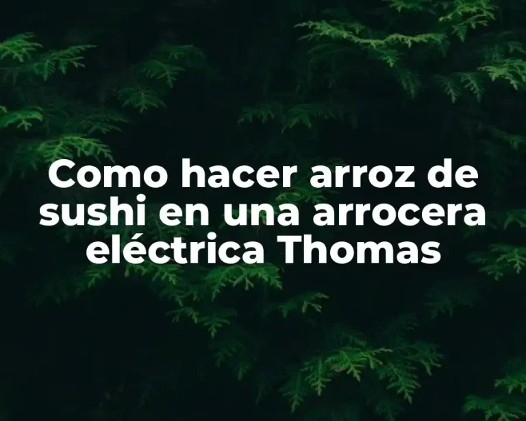 Como hacer arroz de sushi en una arrocera eléctrica Thomas