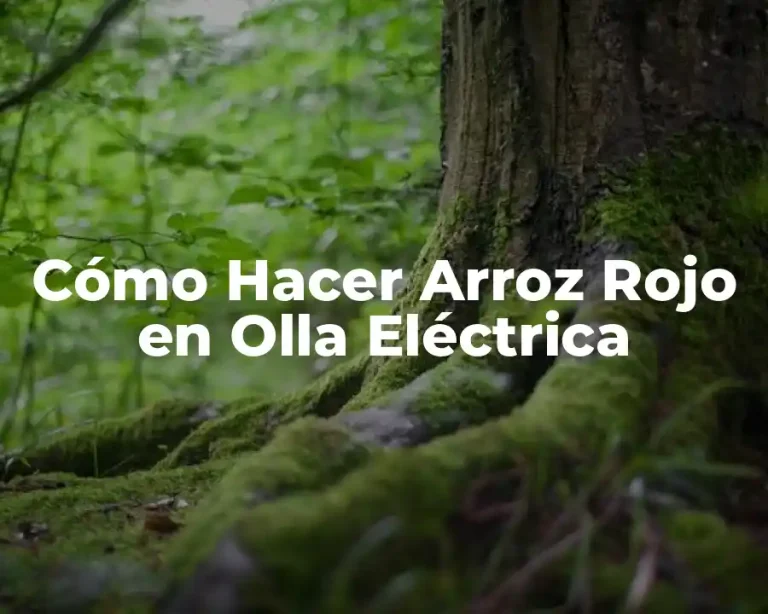Cómo Hacer Arroz Rojo en Olla Eléctrica