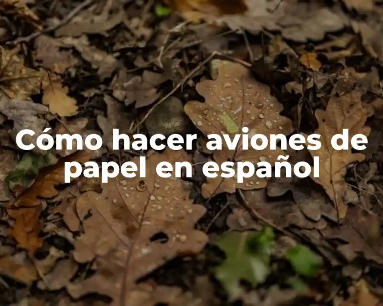 Cómo hacer aviones de papel en español