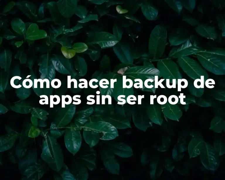 Cómo hacer backup de apps sin ser root