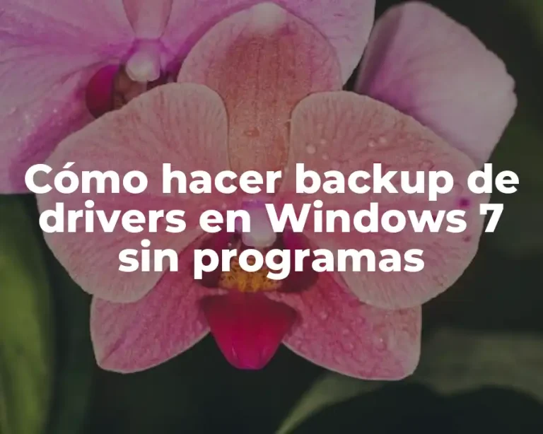 Cómo hacer backup de drivers en Windows 7 sin programas