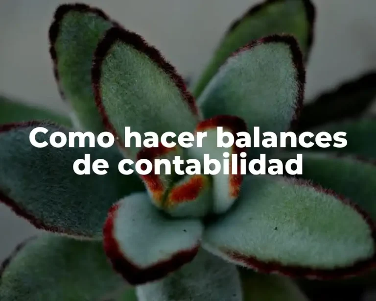 Como hacer balances de contabilidad