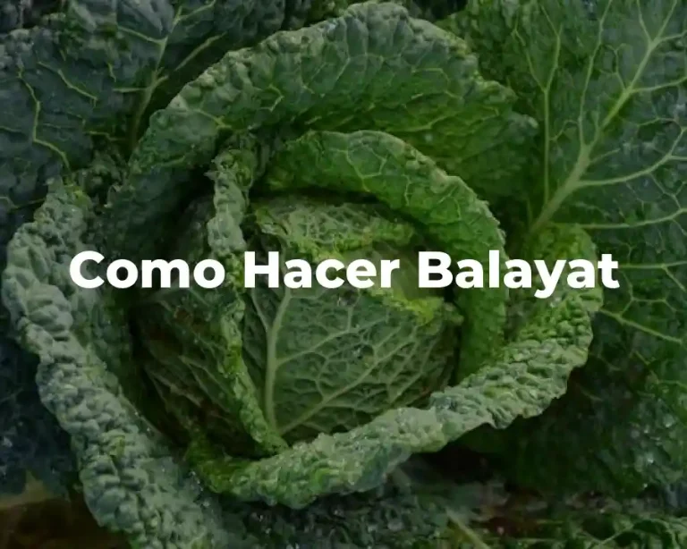 Como Hacer Balayat