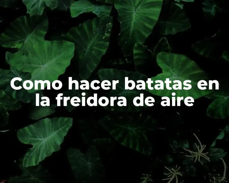 Como hacer batatas en la freidora de aire