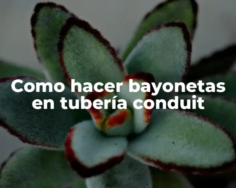 Como hacer bayonetas en tubería conduit