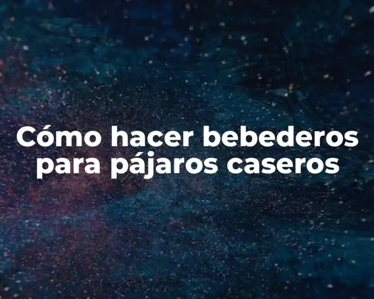 Cómo hacer bebederos para pájaros caseros