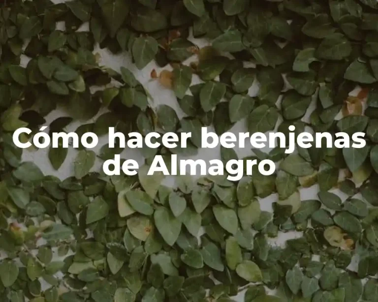 Cómo hacer berenjenas de Almagro