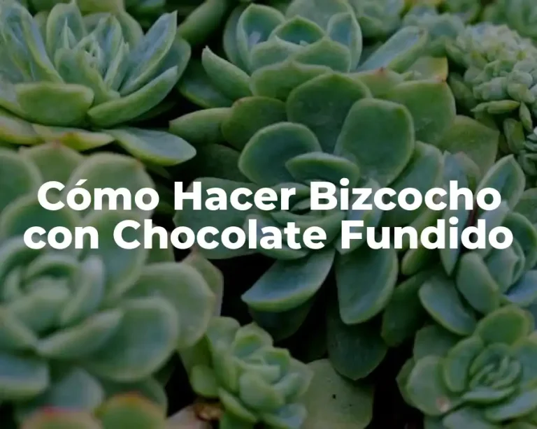 Cómo Hacer Bizcocho con Chocolate Fundido