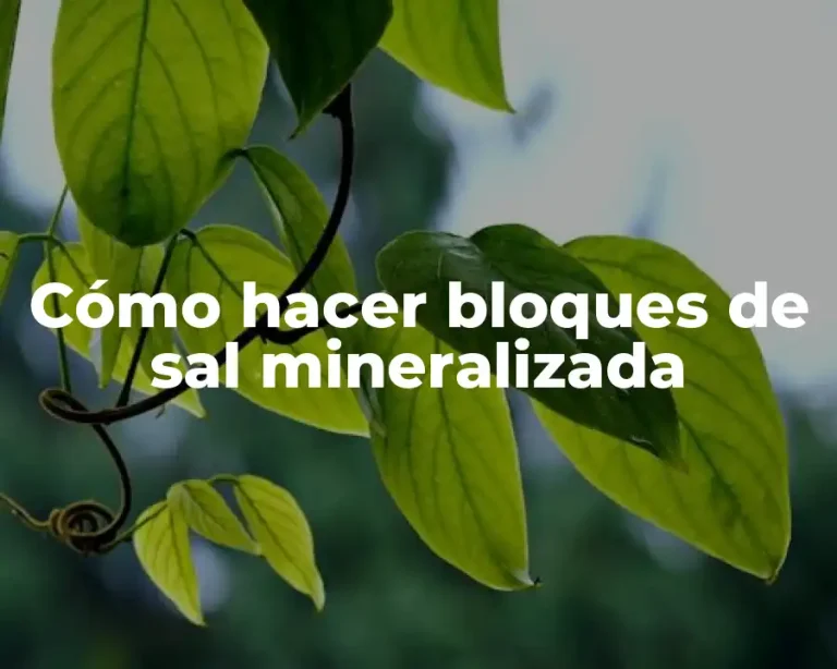 Cómo hacer bloques de sal mineralizada