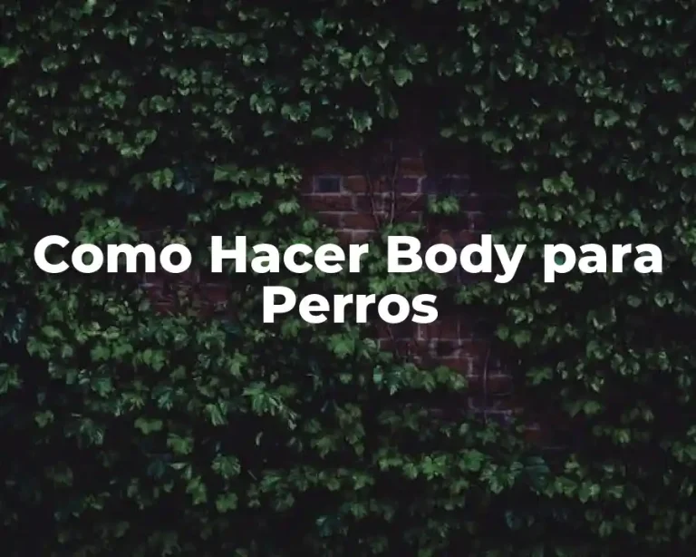 Como Hacer Body para Perros