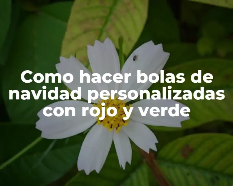 Como hacer bolas de navidad personalizadas con rojo y verde