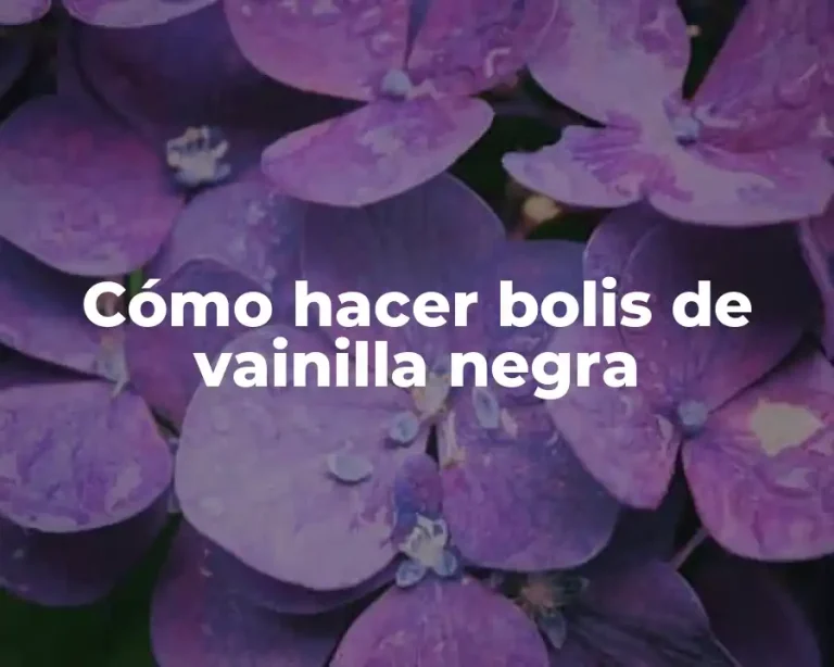 Cómo hacer bolis de vainilla negra