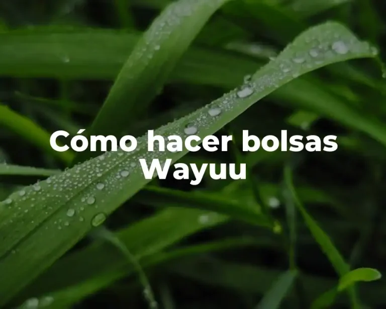Cómo hacer bolsas Wayuu